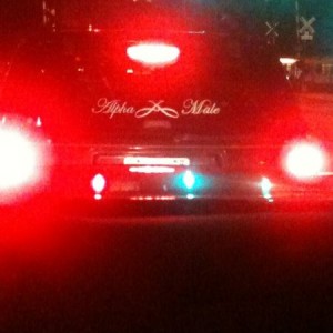 "Alpha Male" ... Doubtful