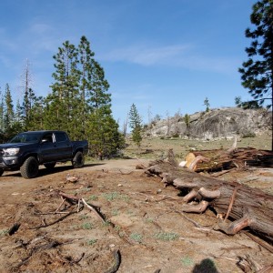 sierra national forest