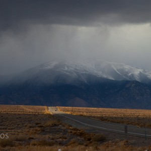 Nevada