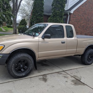 Plasti dip
