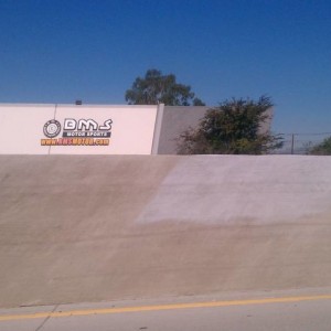 IMAG0615
