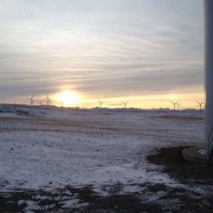 Gotta love the view after a good day at work.