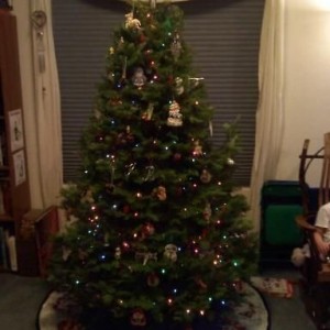 Merry Christmas TacomaWorld!