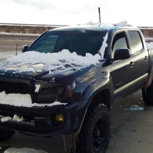 Loaded with snow