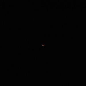 SAM_0753