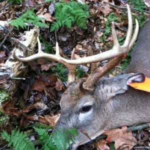 Got the young guy in our group a nice little 9 point.