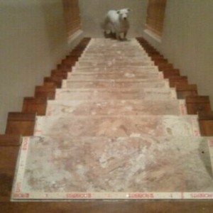 Tack strip is down. Carpet in the a.m.!