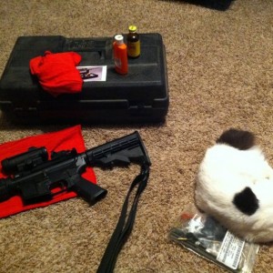 Get busy cleaning, cat!