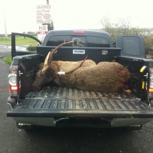 Hunting Photos