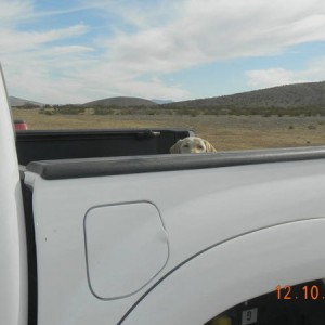 DSCN1636