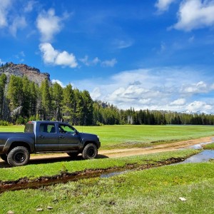 jackass meadow