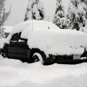 snowtaco12