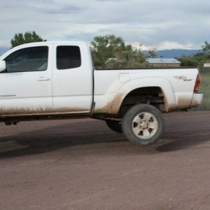 2008 Tacoma Sport 4x4