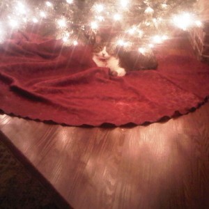 Ponce thinks he's a present...