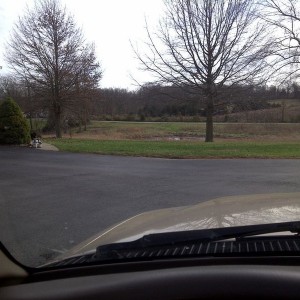 View from my driveway. 70 in KY today... It was 20 something two nights ago