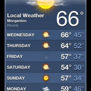 Wtf? Why is it in the 60s in the middle of December? 