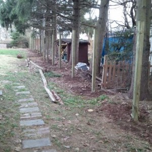 Getting our new fence installed