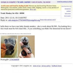 craigslist ad i found in the car section..