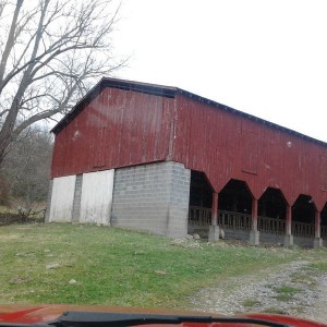 Rescued the fat cat outta the top of the barn Sent from my Samsung Transfor