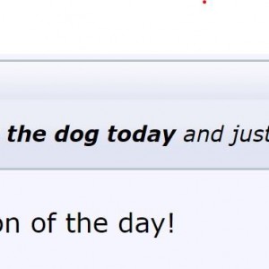 Fuck The Dog
