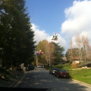 My neighbor going a little nuts