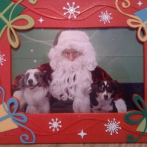 Santa Claws picture. Got a good one to send to the vet. Sent from my Samsun