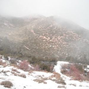 Wheelers Pass