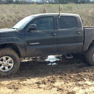 taco_stuck3