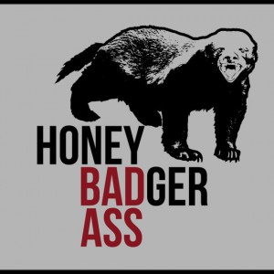 Honey_Badger3