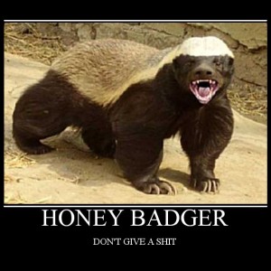 honeybadger1
