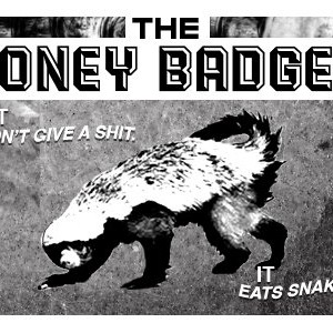 honey_badger5
