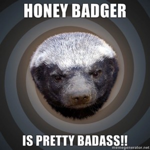 Honey_Badger4