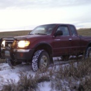 My pride & joy