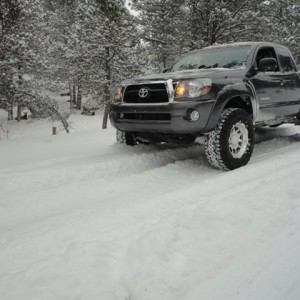 Taco3102