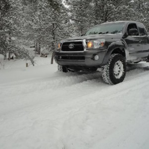 Taco453