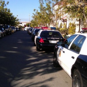 5-0 all the way down my block. The whole right side of the road is cops. An
