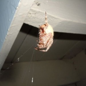 Pic 2