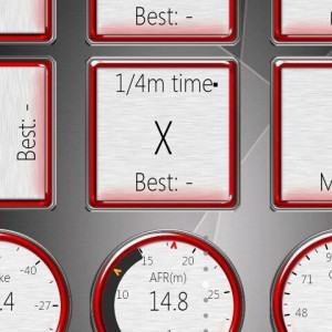 Just a screen shot if the torque app.