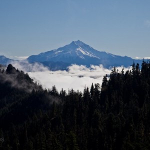 6790-mtjefferson