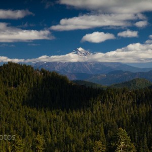 7220-mtjefferson
