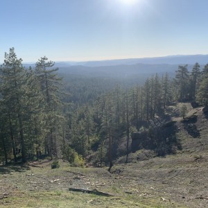 IMG_0131.jpeg