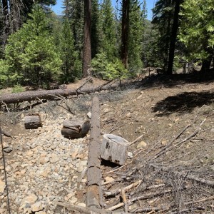 IMG_0114.jpeg