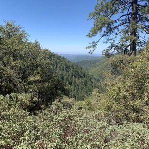 IMG_0110.jpeg