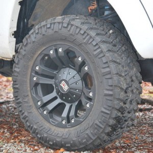 18"XD Monsters w/ trail grapplers