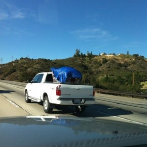 That's a sleigh ......lol