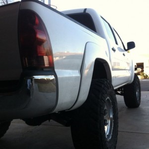 Expos installed