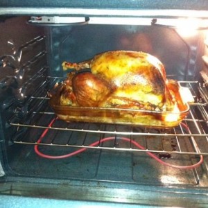 First time cooking a big bird! Turned out great! Merry Christmas TW!!!!