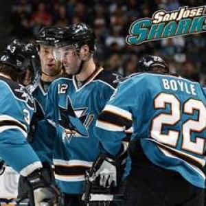 sharks