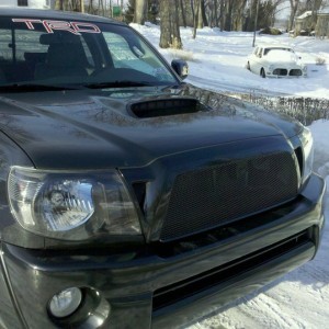 Grille_Pic