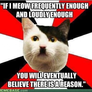 memes-if-i-meow-frequently-enough-and-loudly-enough